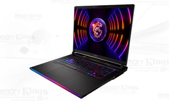 laptop-gaming-msi-raider-ge78-hx-14vhg-17″-qhd-ips-intel-core-i9-14900hx-16gb-ram-ddr5-2tb-ssd-m-2-nvidia-geforce-rtx-4080-–-12gb-windows-11-pro-esp